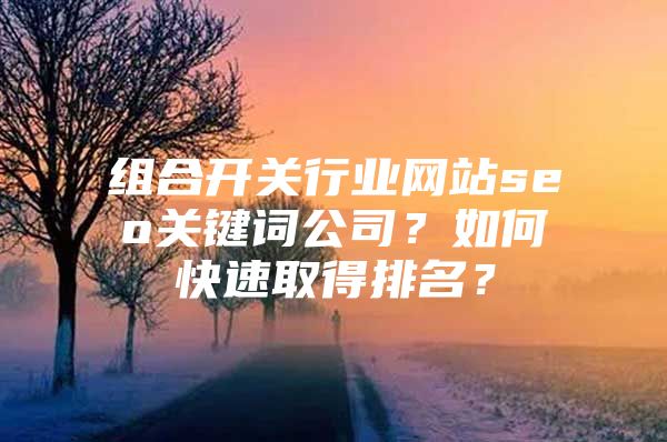 组合开关行业网站seo关键词公司？如何快速取得排名？