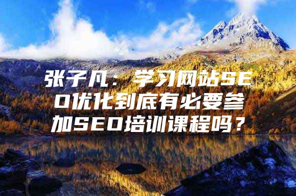 张子凡：学习网站SEO优化到底有必要参加SEO培训课程吗？