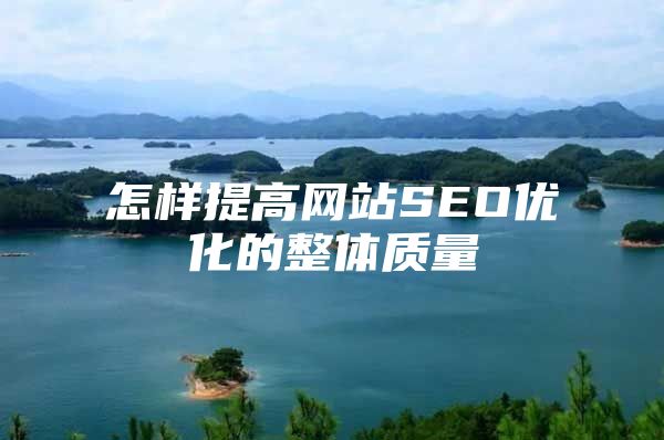 怎样提高网站SEO优化的整体质量