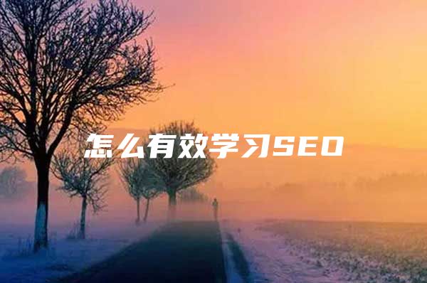 怎么有效学习SEO