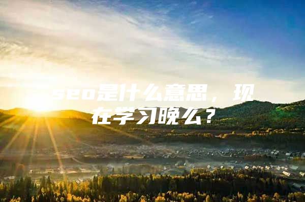 seo是什么意思，现在学习晚么？
