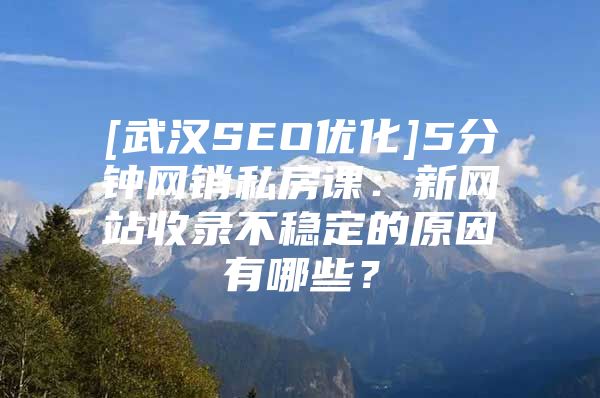 [武汉SEO优化]5分钟网销私房课：新网站收录不稳定的原因有哪些？