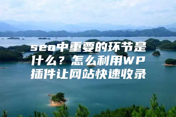 seo中重要的环节是什么？怎么利用WP插件让网站快速收录