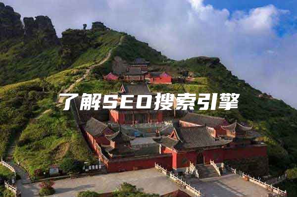 了解SEO搜索引擎