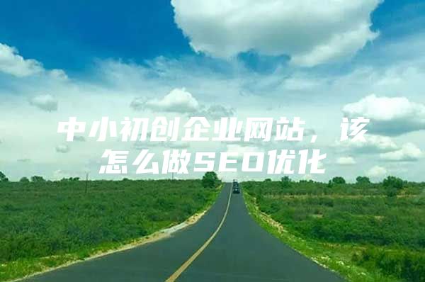 中小初创企业网站，该怎么做SEO优化