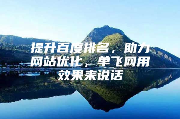 提升百度排名，助力网站优化，单飞网用效果来说话