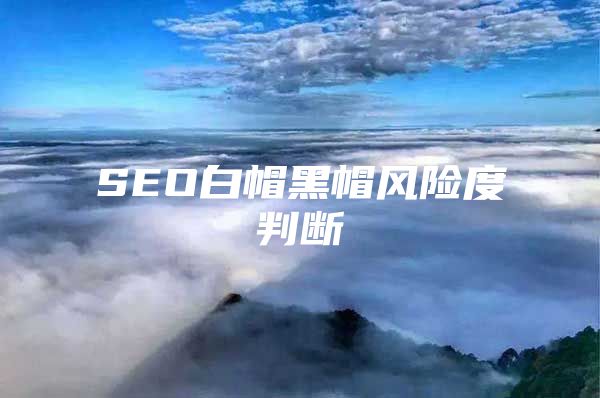 SEO白帽黑帽风险度判断
