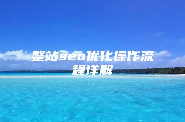 整站seo优化操作流程详解