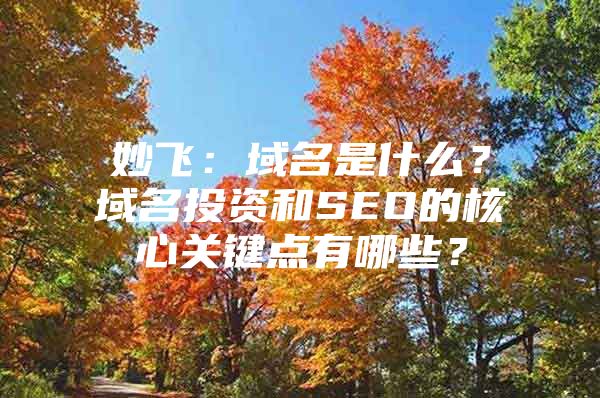 妙飞：域名是什么？域名投资和SEO的核心关键点有哪些？