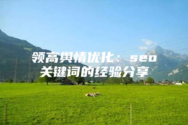 领高舆情优化：seo关键词的经验分享