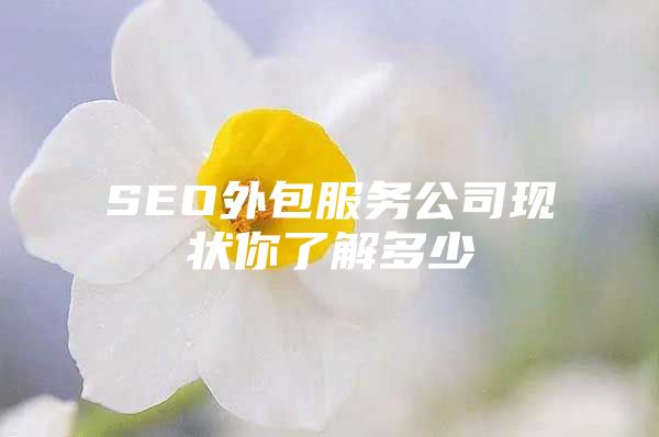 SEO外包服务公司现状你了解多少