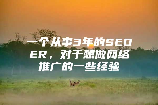 一个从事3年的SEOER，对于想做网络推广的一些经验