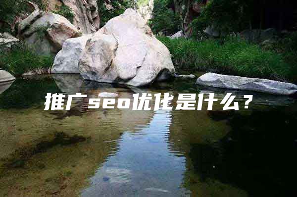 推广seo优化是什么？