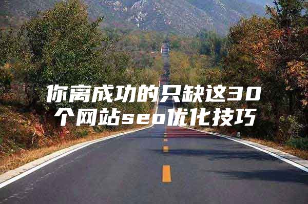 你离成功的只缺这30个网站seo优化技巧
