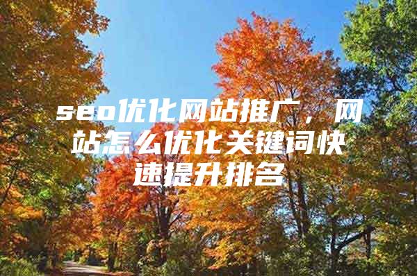 seo优化网站推广，网站怎么优化关键词快速提升排名