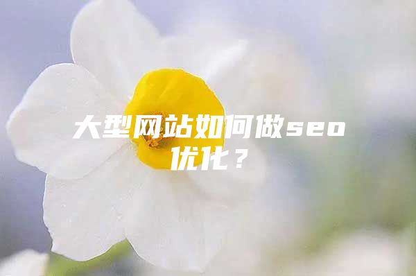 大型网站如何做seo优化？
