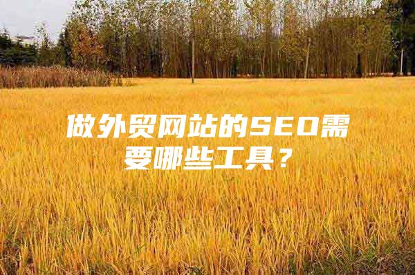 做外贸网站的SEO需要哪些工具？