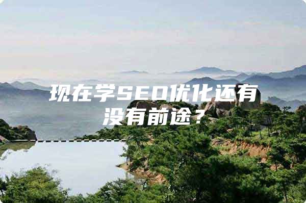 现在学SEO优化还有没有前途？