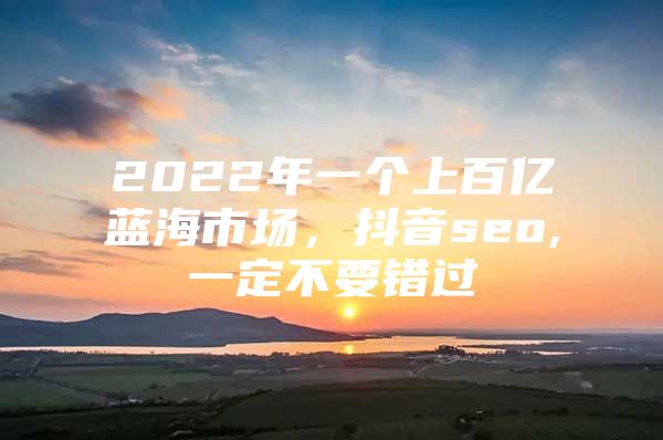 2022年一个上百亿蓝海市场，抖音seo,一定不要错过