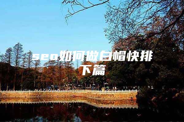 seo如何做白帽快排下篇