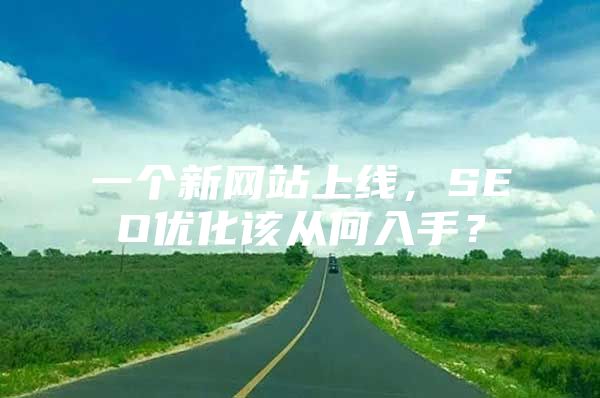 一个新网站上线，SEO优化该从何入手？