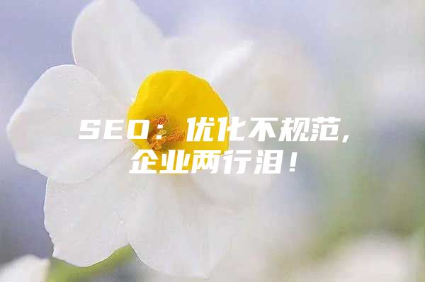 SEO：优化不规范,企业两行泪！