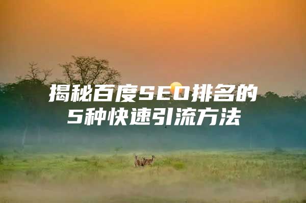 揭秘百度SEO排名的5种快速引流方法