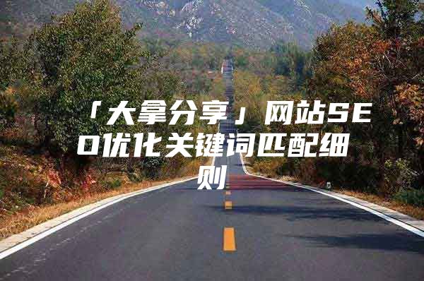 「大拿分享」网站SEO优化关键词匹配细则