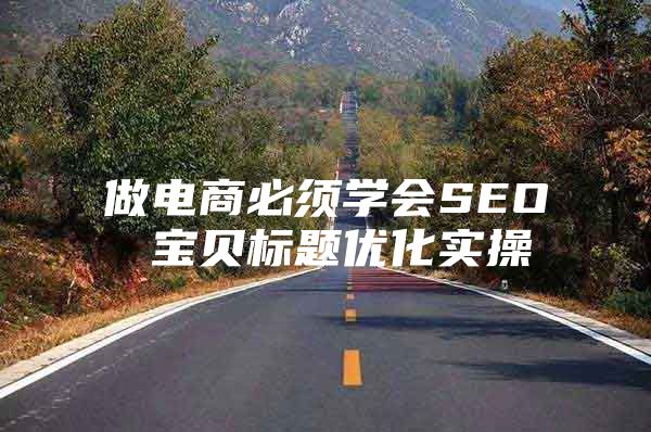做电商必须学会SEO 宝贝标题优化实操