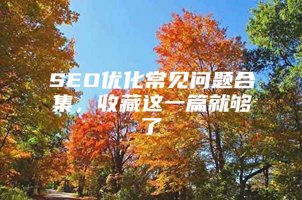 SEO优化常见问题合集，收藏这一篇就够了