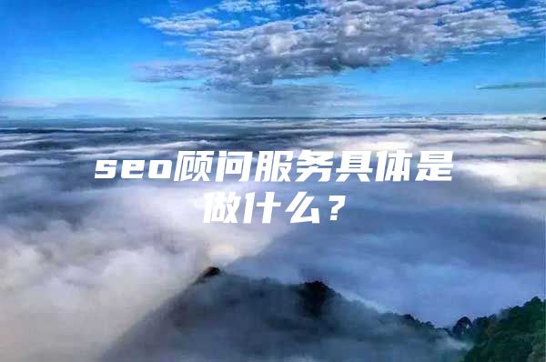 seo顾问服务具体是做什么？