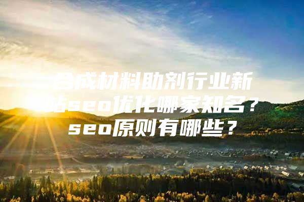 合成材料助剂行业新站seo优化哪家知名？seo原则有哪些？