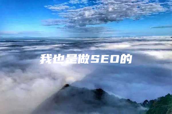 我也是做SEO的