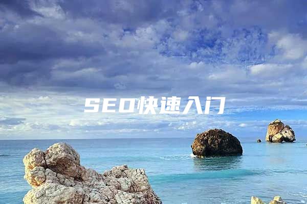 SEO快速入门