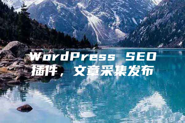 WordPress SEO插件，文章采集发布