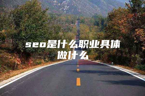 seo是什么职业具体做什么