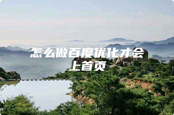 怎么做百度优化才会上首页