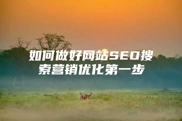 如何做好网站SEO搜索营销优化第一步