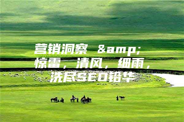 营销洞察 & 惊雷，清风，细雨，洗尽SEO铅华