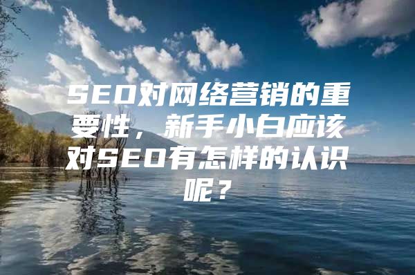 SEO对网络营销的重要性，新手小白应该对SEO有怎样的认识呢？