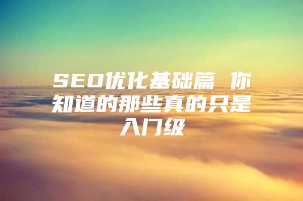 SEO优化基础篇 你知道的那些真的只是入门级