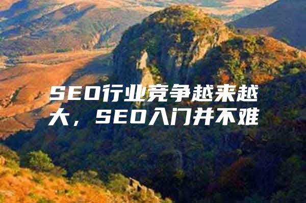 SEO行业竞争越来越大，SEO入门并不难