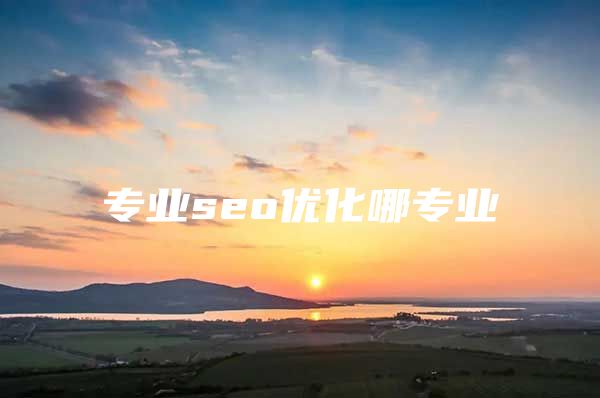 专业seo优化哪专业
