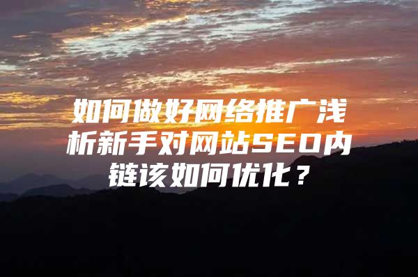 如何做好网络推广浅析新手对网站SEO内链该如何优化？