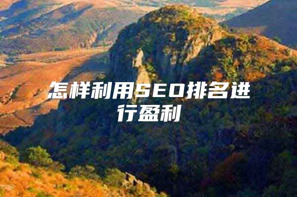 怎样利用SEO排名进行盈利
