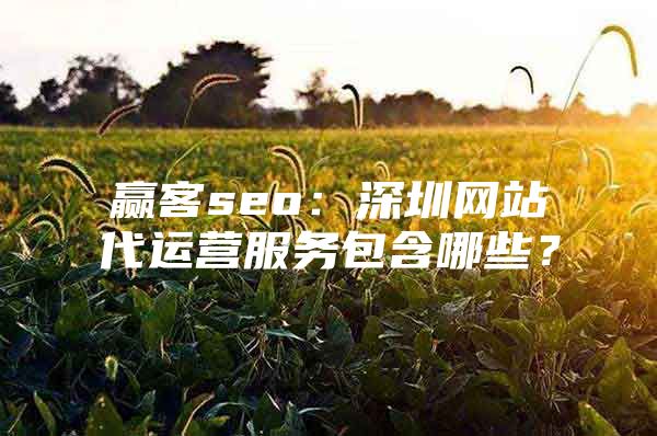 赢客seo：深圳网站代运营服务包含哪些？