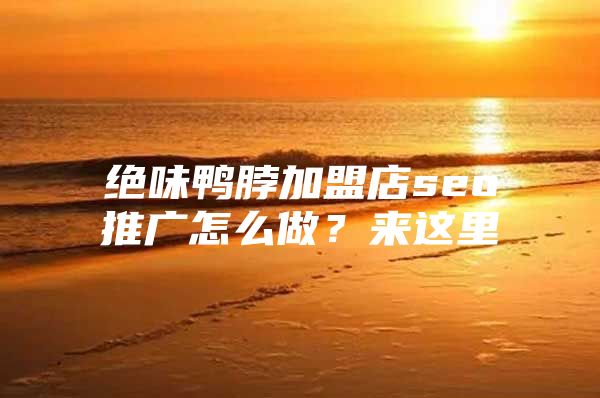 绝味鸭脖加盟店seo推广怎么做？来这里