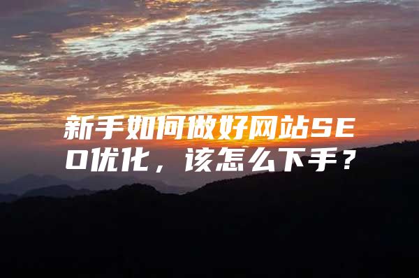 新手如何做好网站SEO优化，该怎么下手？