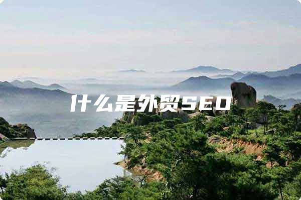 什么是外贸SEO
