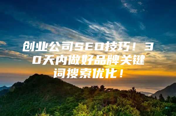 创业公司SEO技巧！30天内做好品牌关键词搜索优化！